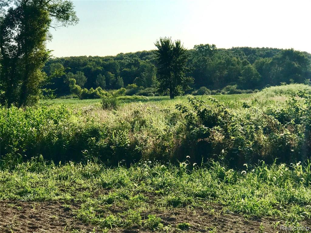 13725 Wilmore Road Stockbridge, MI 49285 - Photo 49 of 94