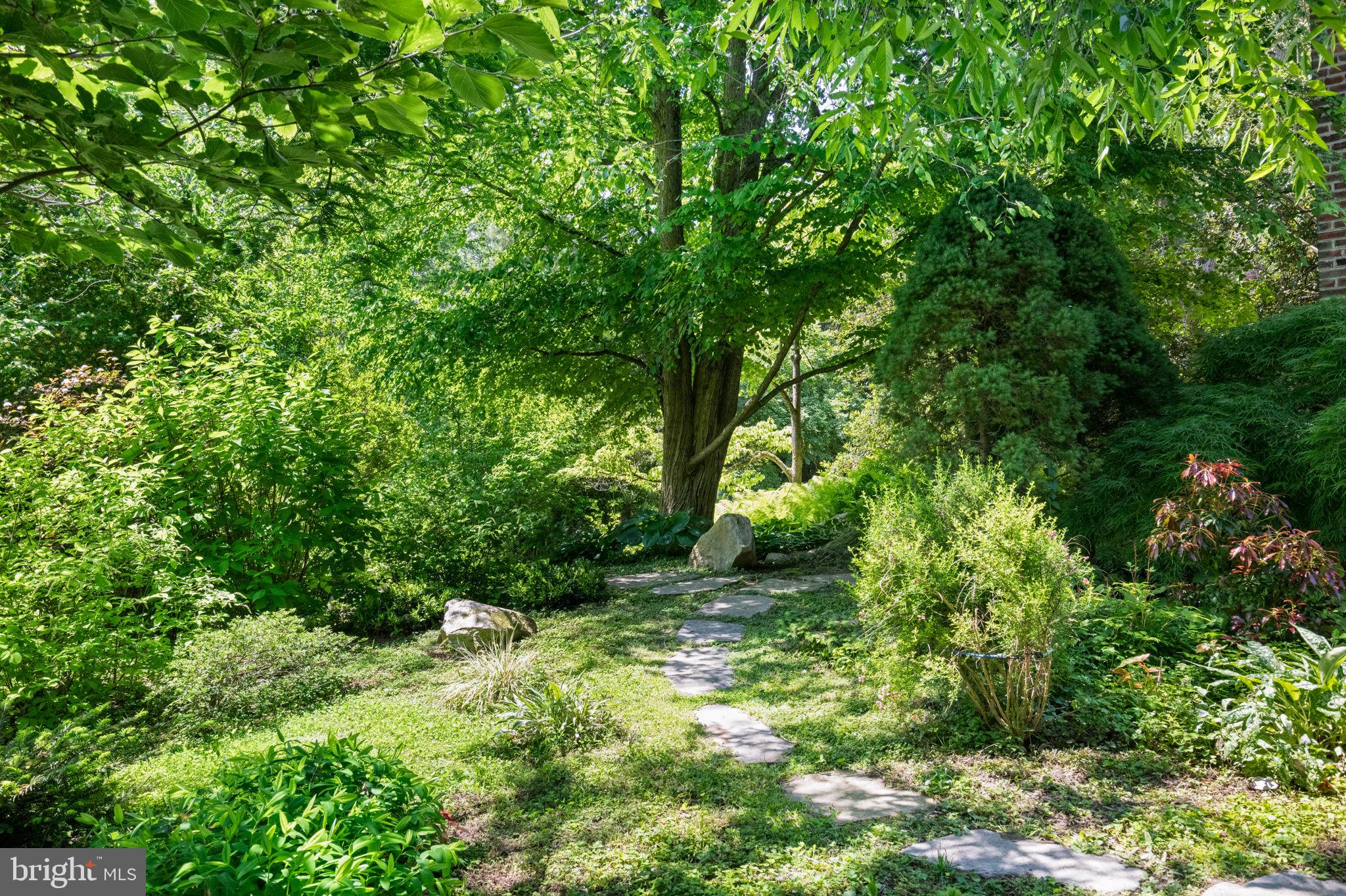 126 West Gravers Lane Philadelphia, PA 19118 - Photo 46 of 55 Backyard landscaping