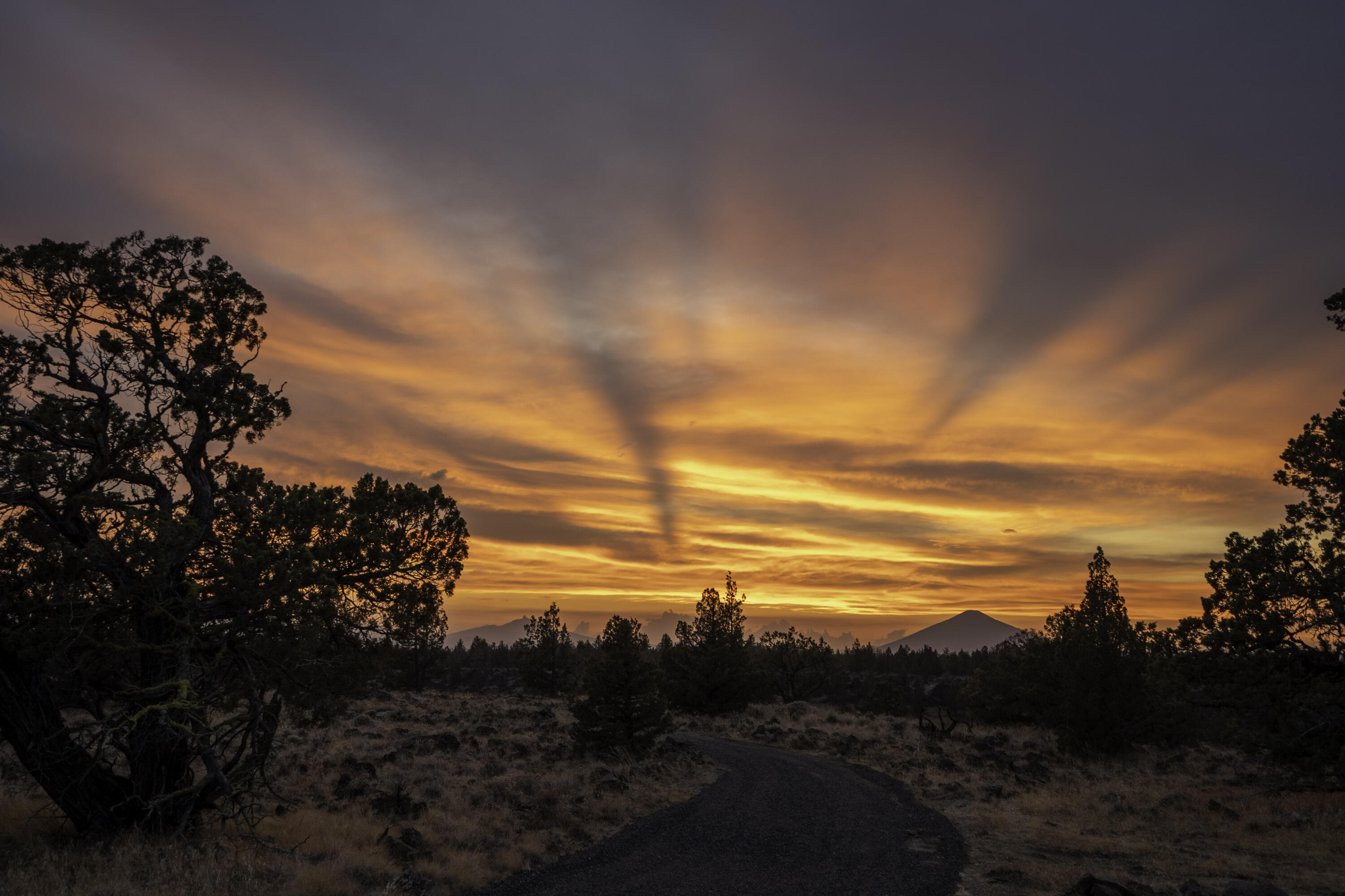 69740 McKenzie Canyon Road Sisters, OR 97759 - Photo 24 of 45 Driveway Sunset