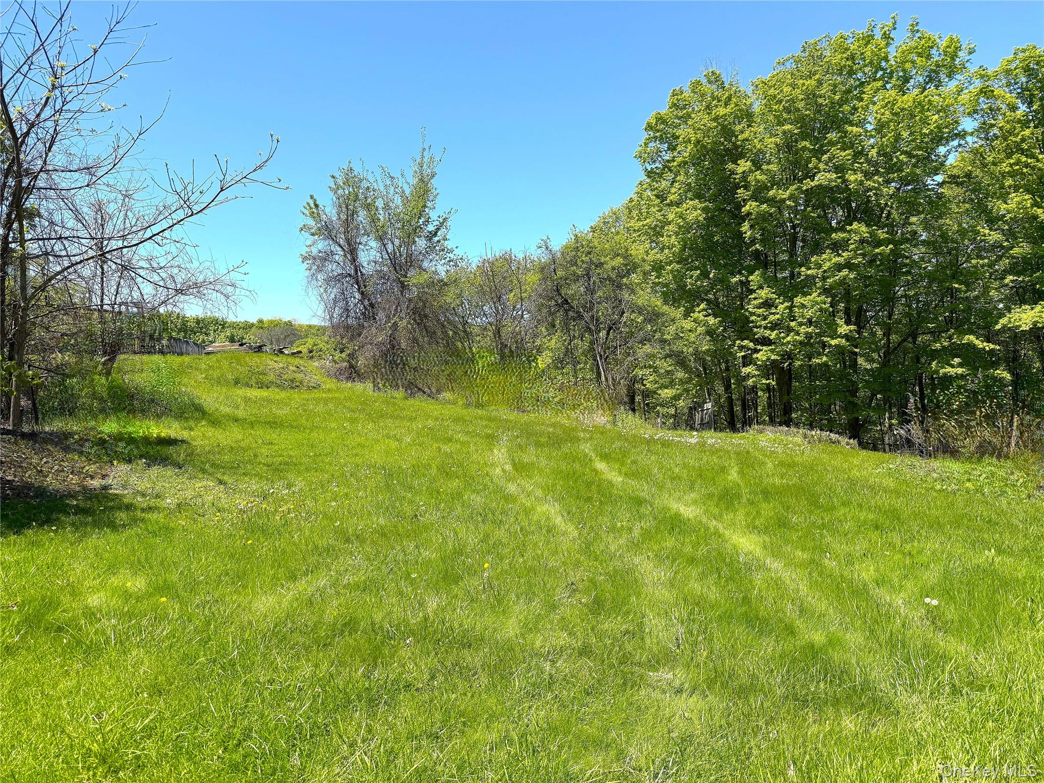 Walnut Street Pawling, NY 12564 - Photo 1 of 7 .73 ac lot is in the municipal water and sewer district. *BOHA is not required.