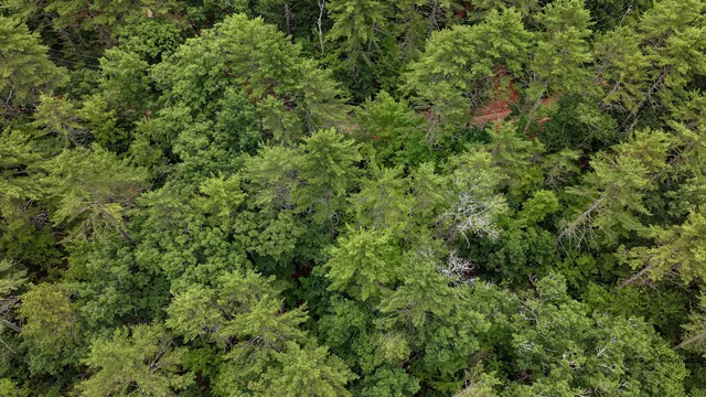 $130,000 | 62 B Long Pond Drive, Denmark, ME 04022