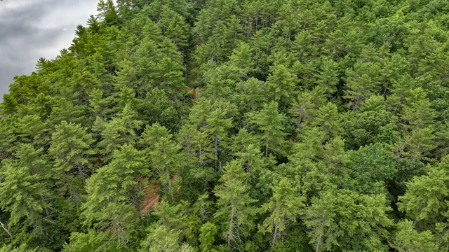 $130,000 | 62 B Long Pond Drive, Denmark, ME 04022