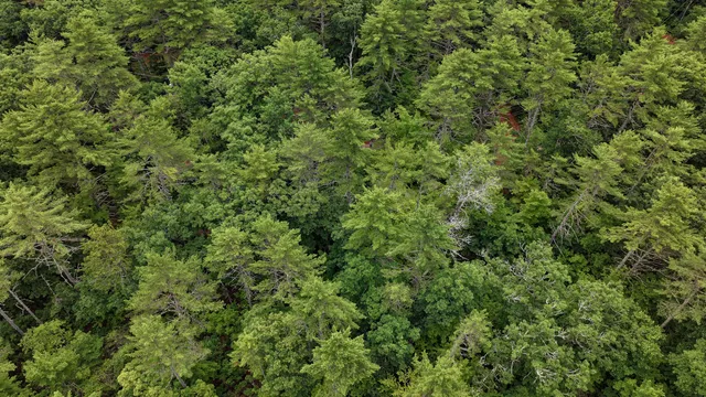 $130,000 | 62 B Long Pond Drive, Denmark, ME 04022