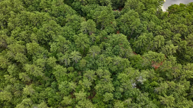 $130,000 | 62 B Long Pond Drive, Denmark, ME 04022