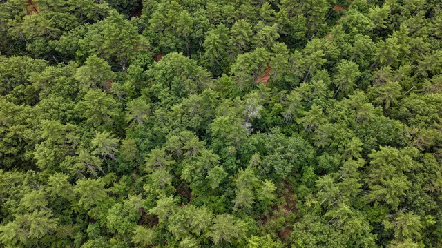 $130,000 | 62 B Long Pond Drive, Denmark, ME 04022