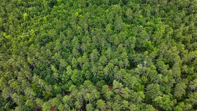 $130,000 | 62 B Long Pond Drive, Denmark, ME 04022