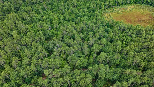 $130,000 | 62 B Long Pond Drive, Denmark, ME 04022