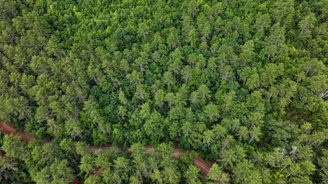 $130,000 | 62 B Long Pond Drive, Denmark, ME 04022