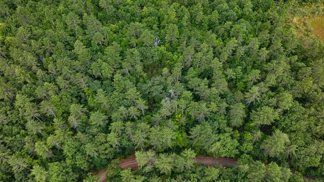 $130,000 | 62 B Long Pond Drive, Denmark, ME 04022