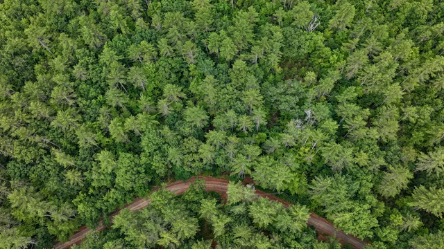 $130,000 | 62 B Long Pond Drive, Denmark, ME 04022