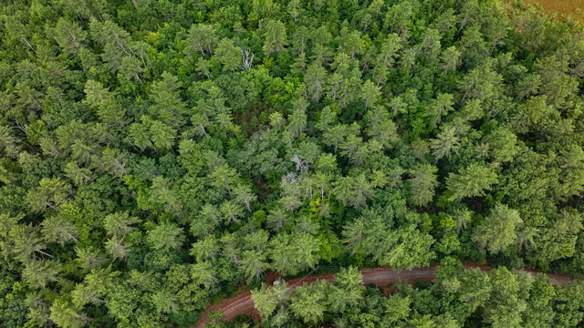 $130,000 | 62 B Long Pond Drive, Denmark, ME 04022