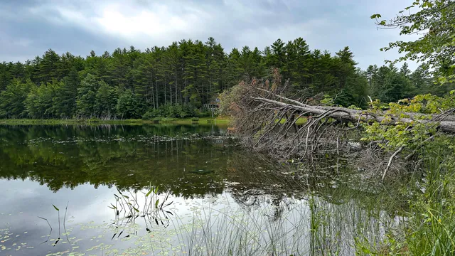 $130,000 | 62 B Long Pond Drive, Denmark, ME 04022