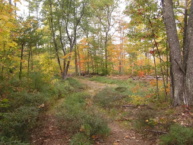 $130,000 | 62 B Long Pond Drive, Denmark, ME 04022