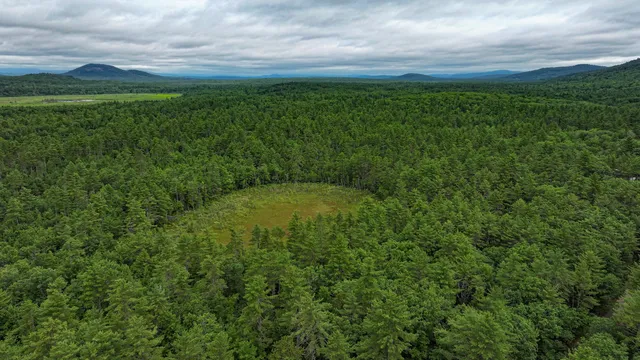 $130,000 | 62 B Long Pond Drive, Denmark, ME 04022