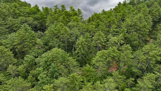 $130,000 | 62 B Long Pond Drive, Denmark, ME 04022