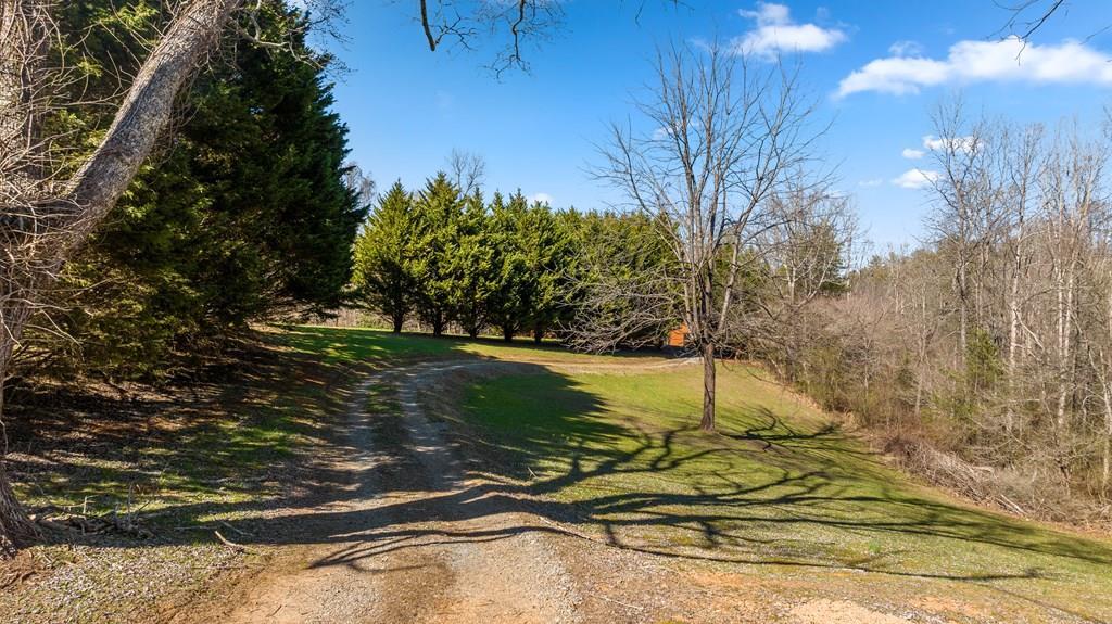 125 Old Bennett Road Ellijay, GA 30536 - Photo 7 of 63 Gallery Image 7