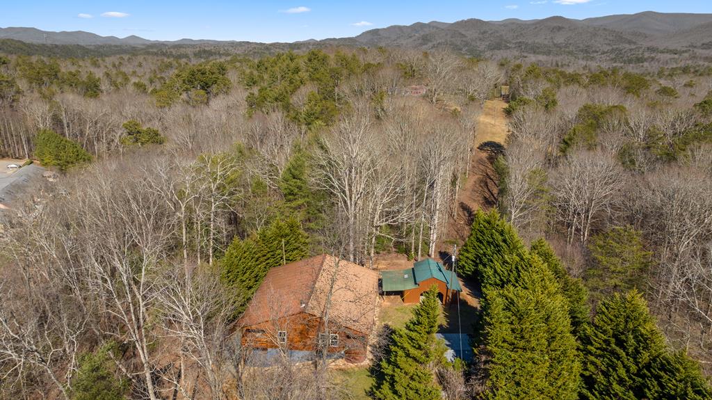 125 Old Bennett Road Ellijay, GA 30536 - Photo 9 of 63 Gallery Image 9
