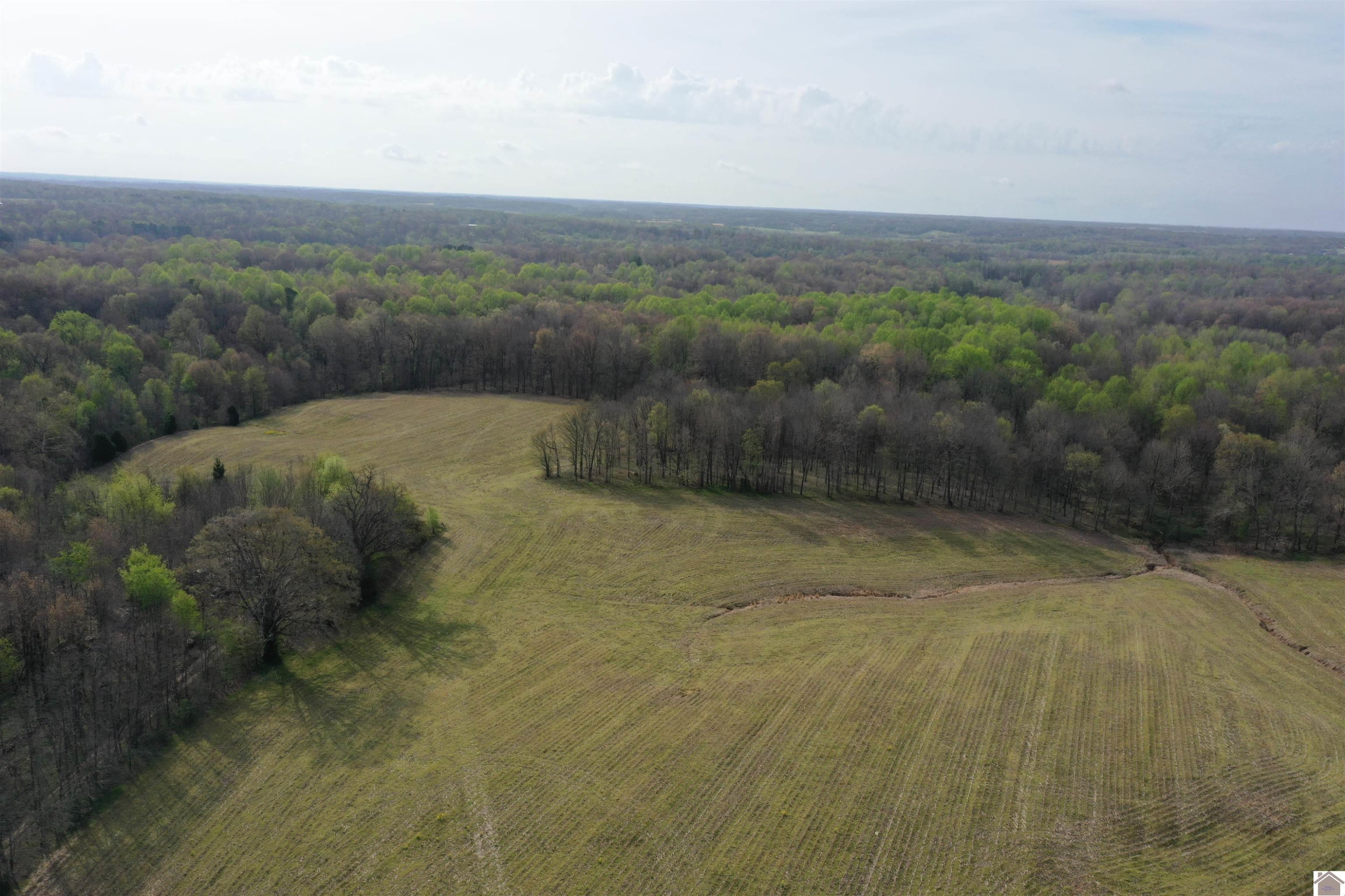 Dublin Hill Road, Unit TRACT 12 Fancy Farm, KY 42039 - Photo 7 of 22 Photo 7