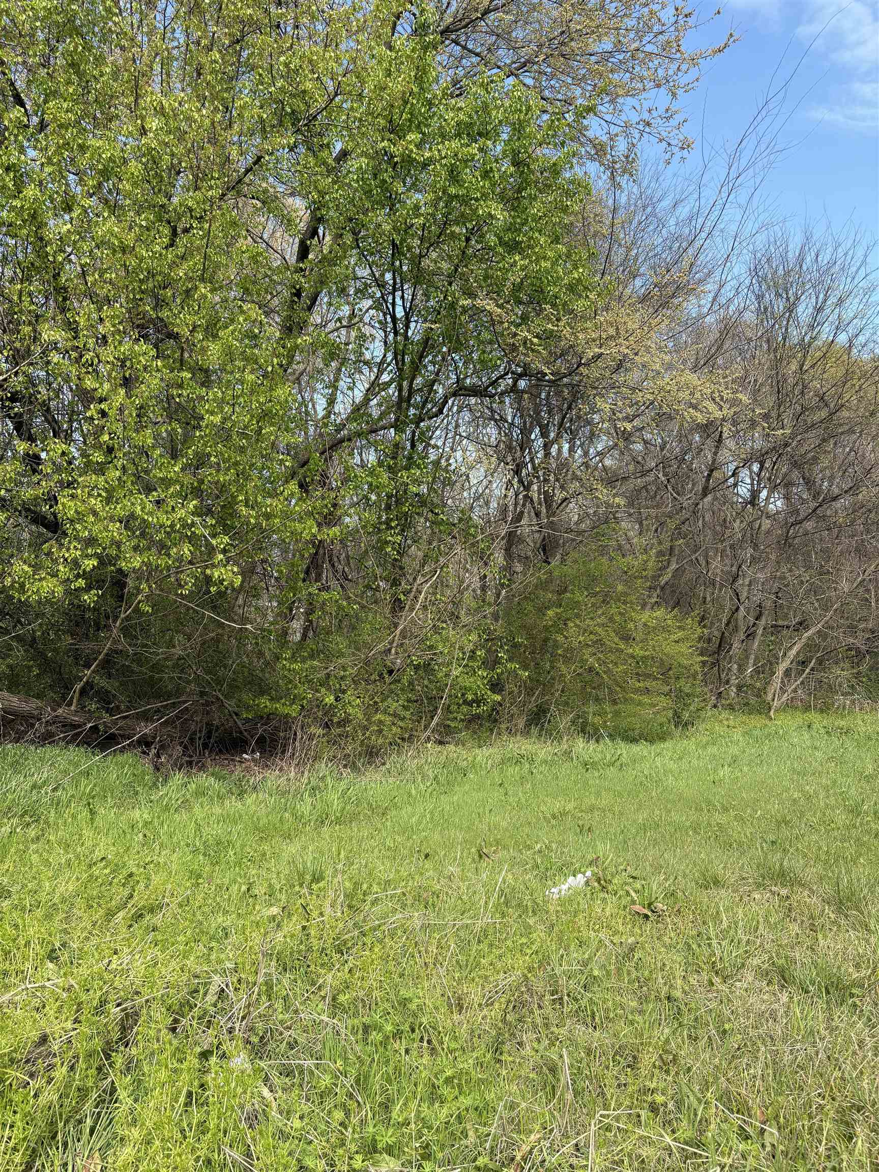 126 West Brooks Road Memphis, TN 38109 - Photo 1 of 1 a view of room with green space