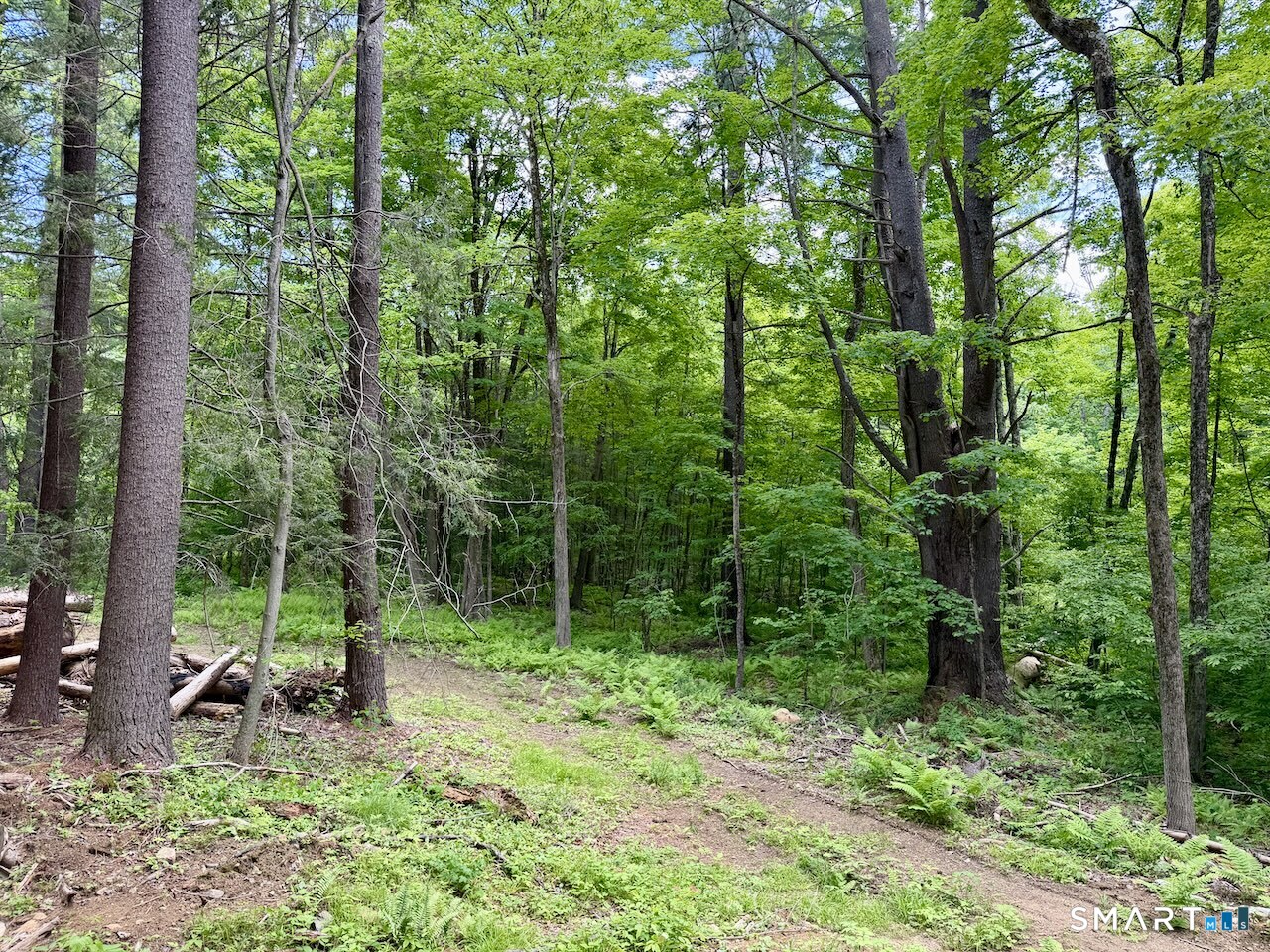 0 Great Hollow Road West Cornwall, CT 06796 - Photo 8 of 10
