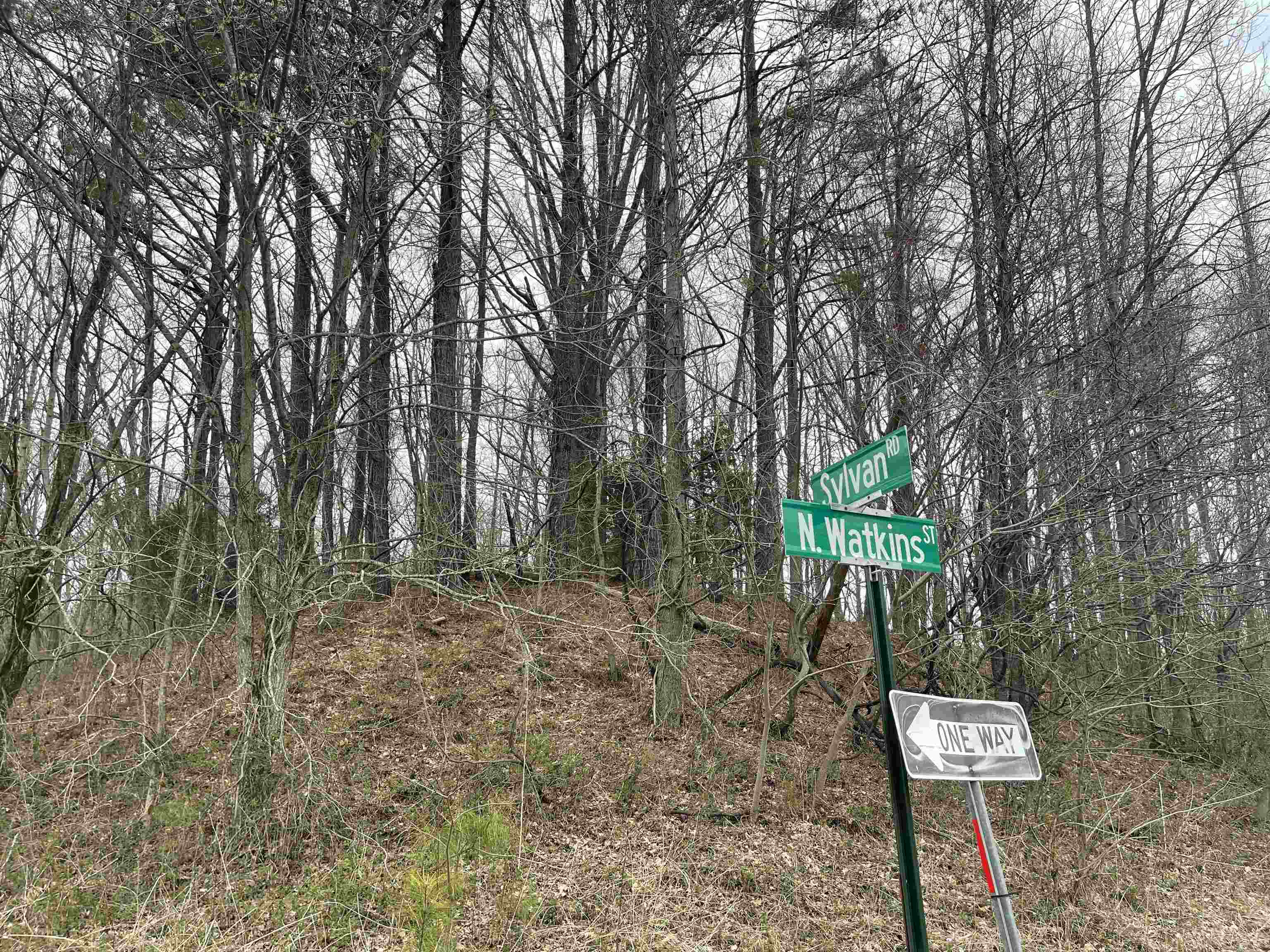 0 Sylvan Road Millington, TN 38053 - Photo 1 of 5 Gallery Image 1