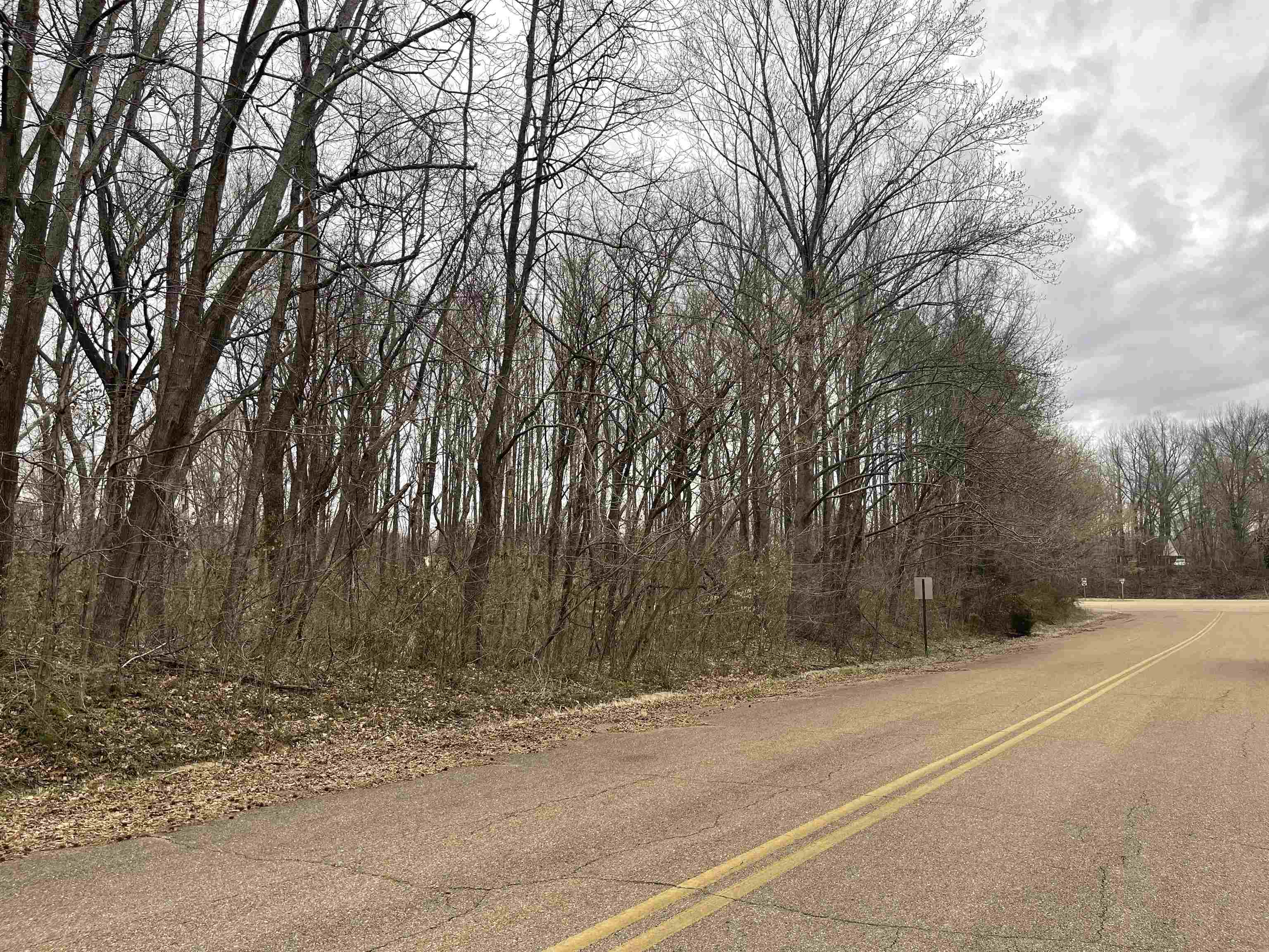 0 Sylvan Road Millington, TN 38053 - Photo 2 of 5 Gallery Image 2