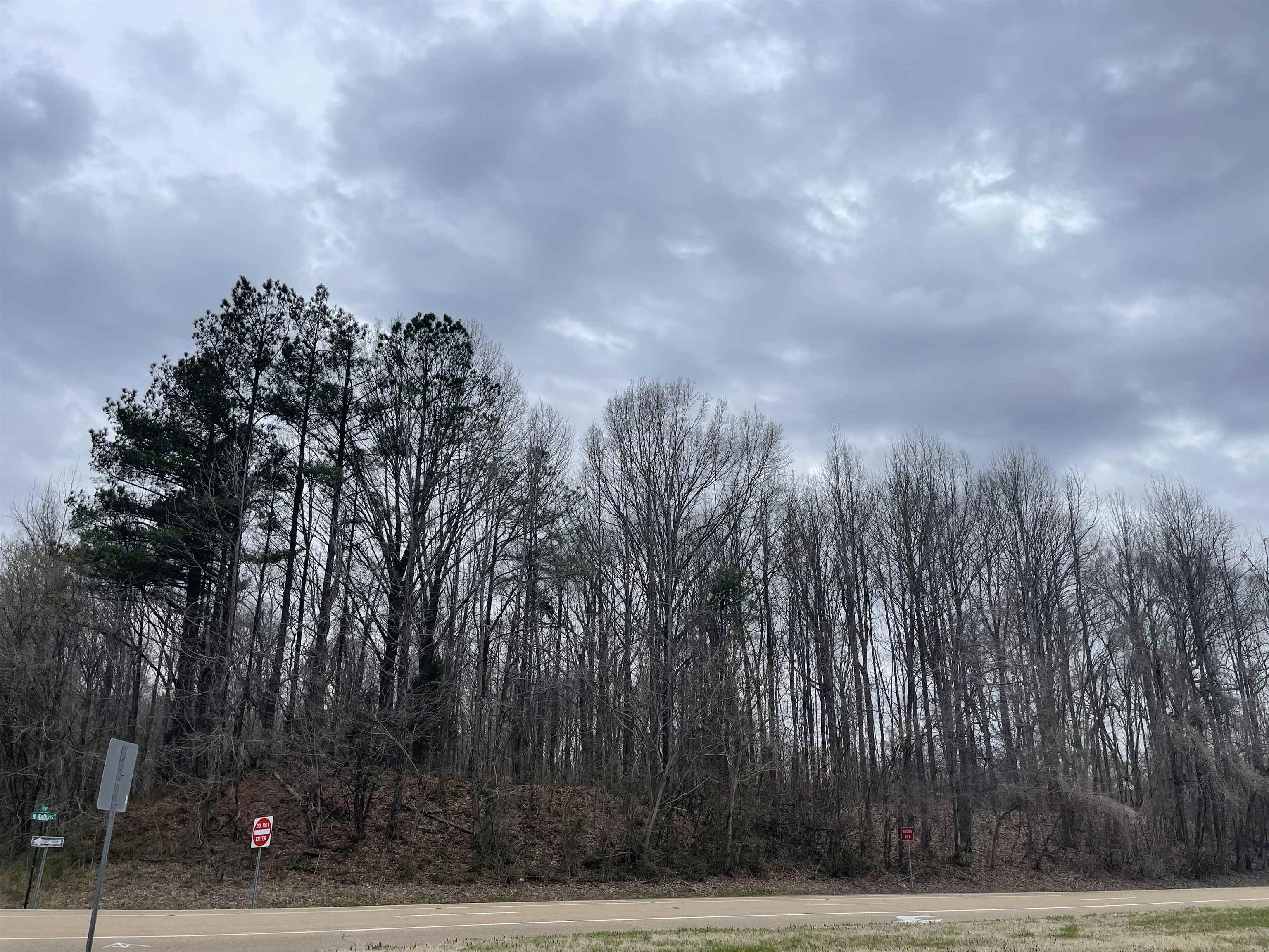 0 Sylvan Road Millington, TN 38053 - Photo 3 of 5 Gallery Image 3