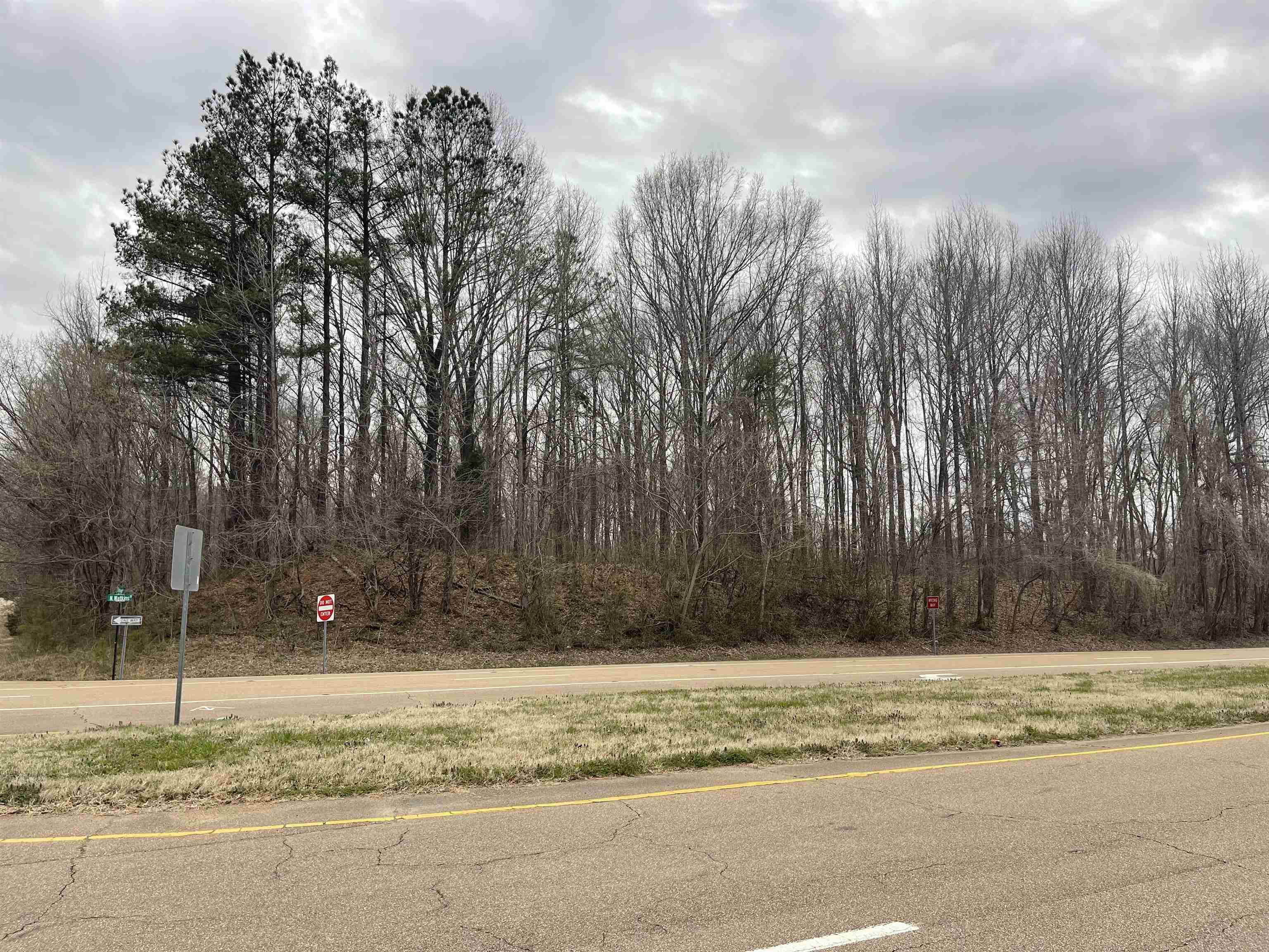 0 Sylvan Road Millington, TN 38053 - Photo 4 of 5 Gallery Image 4