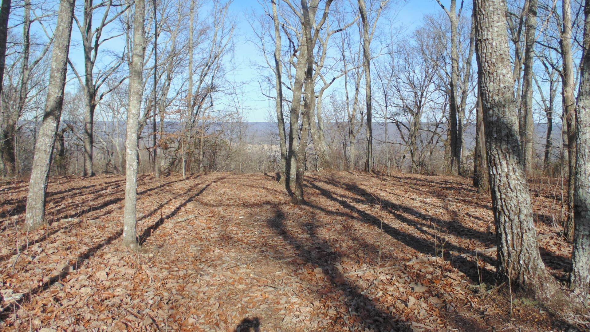 4 Deepwoods Road Sewanee, TN 37375 - Photo 4 of 13 Drive area cut through the property.