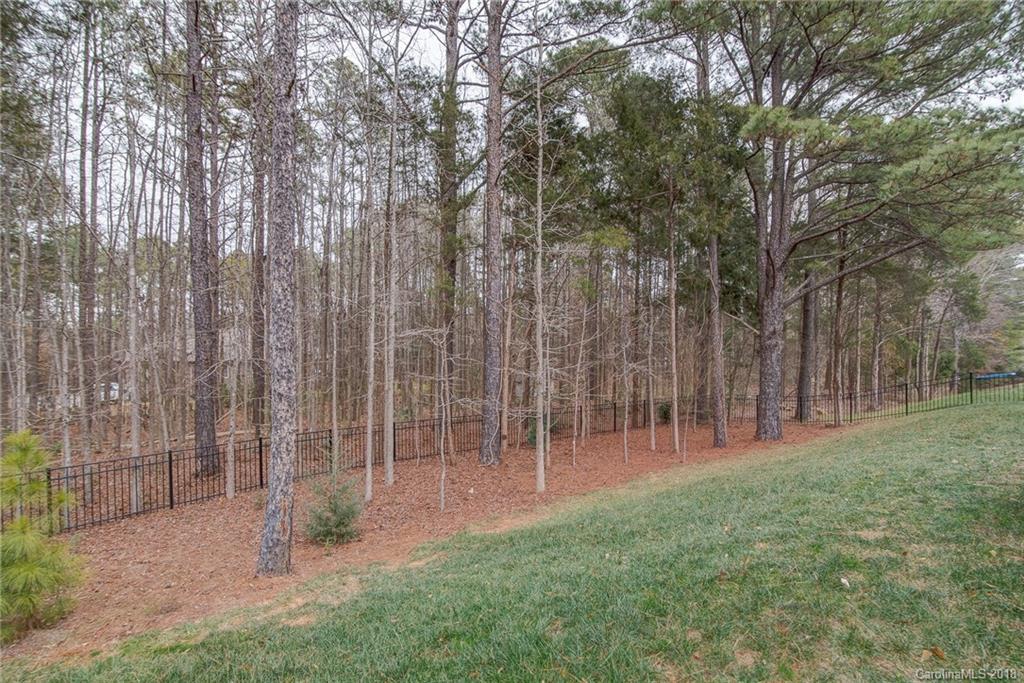 9051 Blue Ridge Drive, Unit 34 Indian Land, SC 29707 - Photo 24 of 24 Gallery Image 24