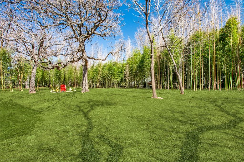 2012 North Locust Street Denton, TX 76209 - Photo 2 of 39 Incredibly Spacious Backyard!