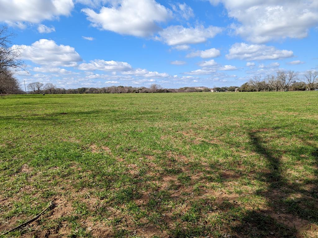 0 County Road 112 Dothan, AL 36303 - Photo 6 of 10
