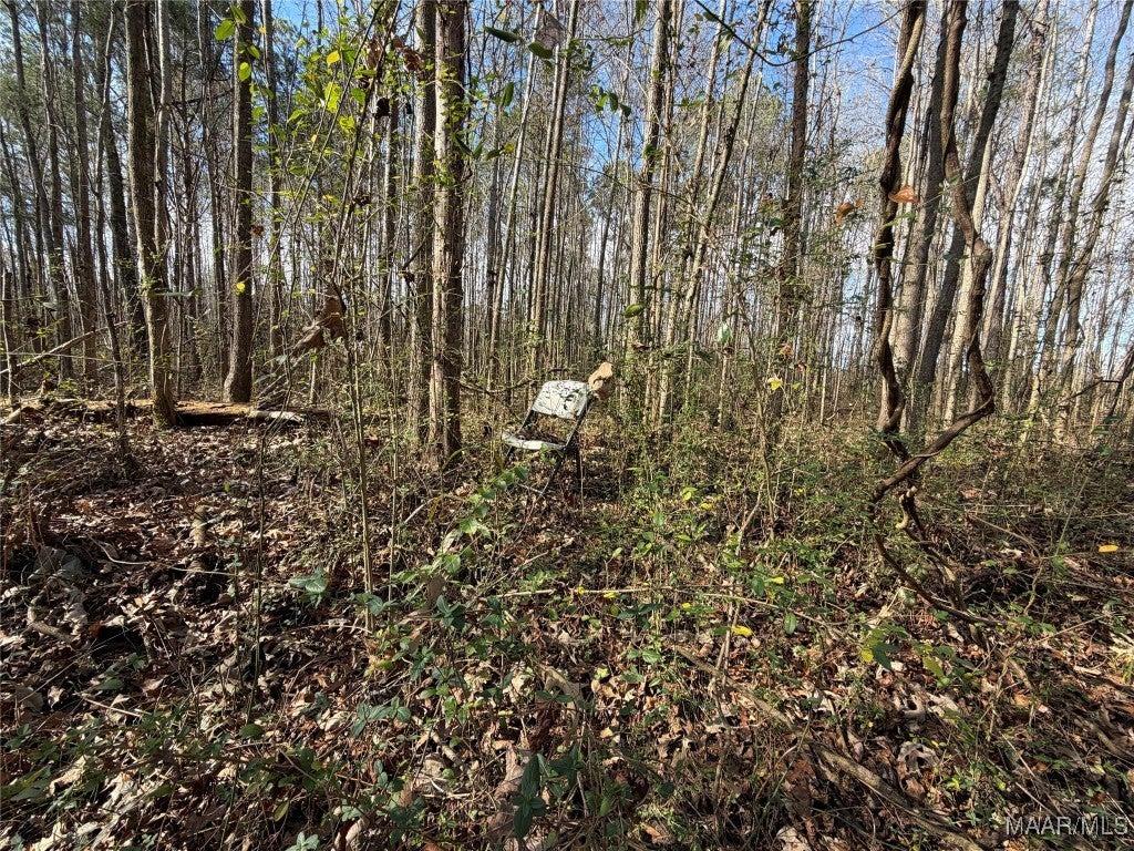 31 Highway Letohatchee Al Letohatchee, AL 36047 - Photo 20 of 23 Gallery Image 20