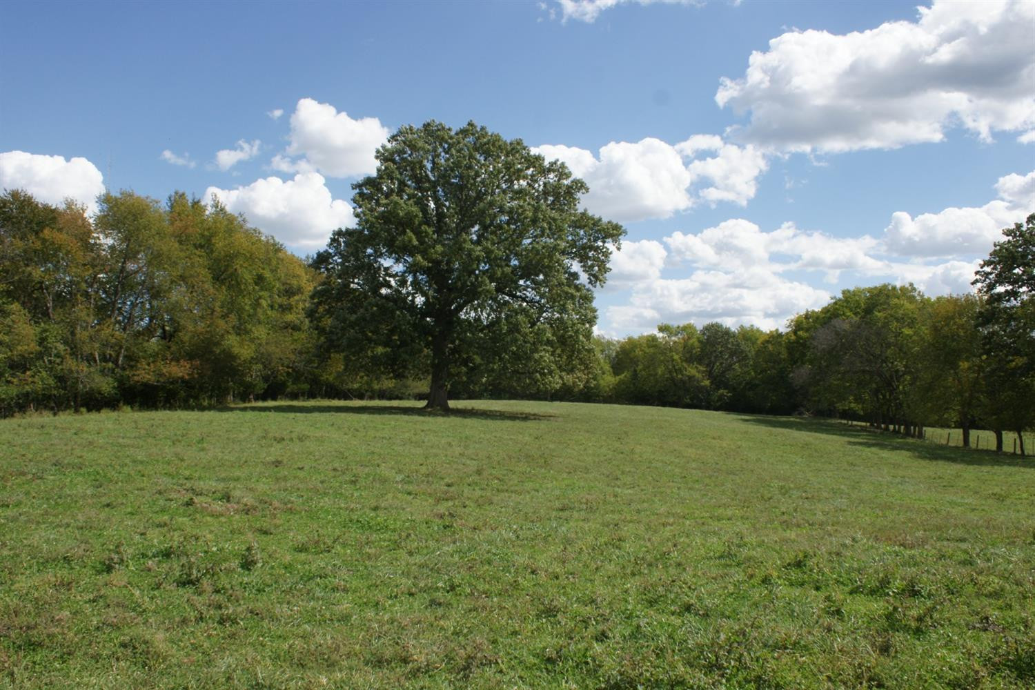 2152 Paynes Depot Road Lexington, KY 40511 - Photo 10 of 11 Photo 10