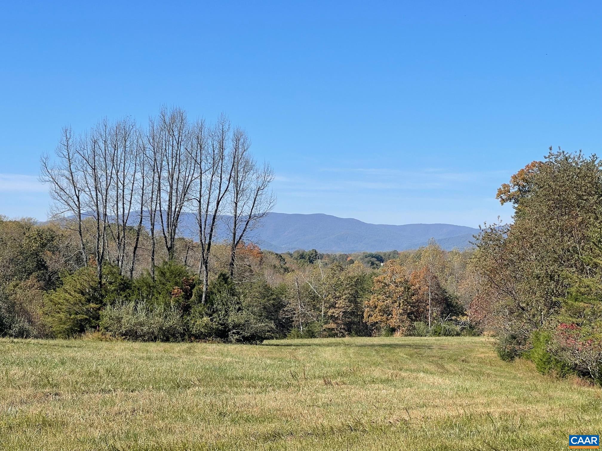 1 Frays Mill Road Ruckersville, VA 22968 - Photo 2 of 6 a view of a yard with mountain and trees