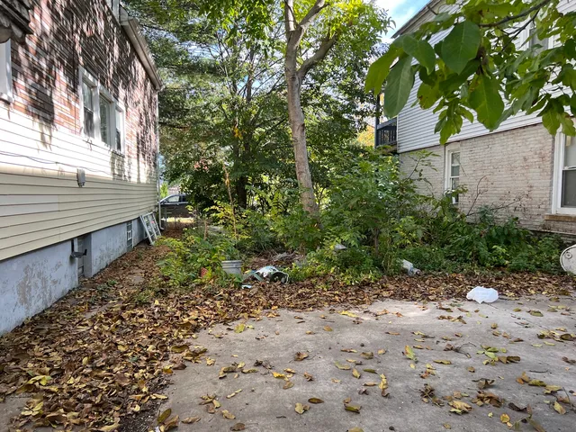 a view of a backyard with plants and large trees