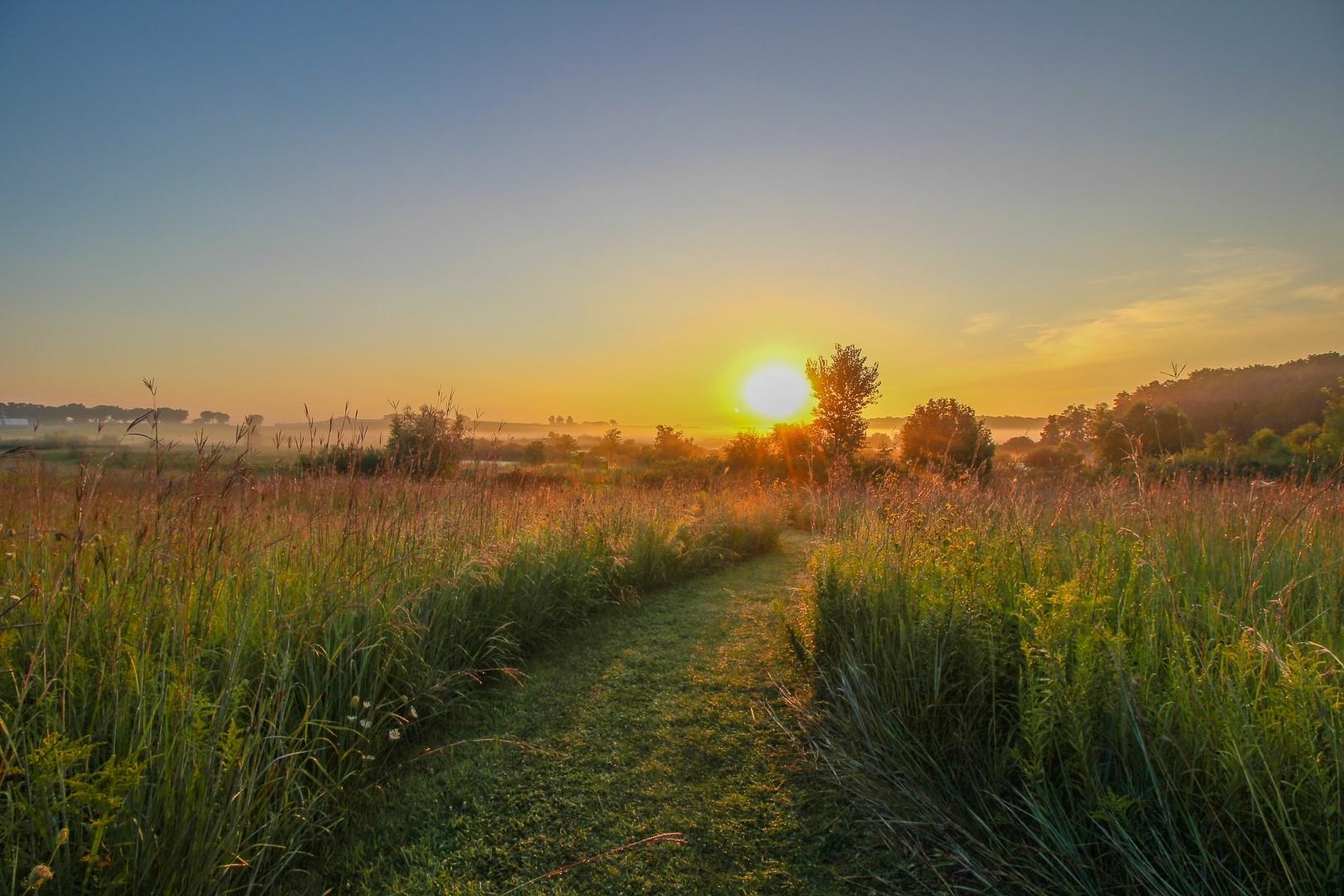 218 Sullivan Street Cambridge, WI 53523 - Photo 45 of 48