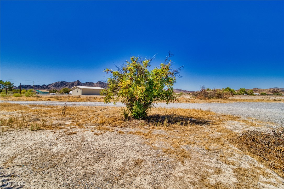 3750 West Blosser Ranch Road, Unit 2 Pahrump, NV 89060 - Photo 27 of 27 Fruit tree