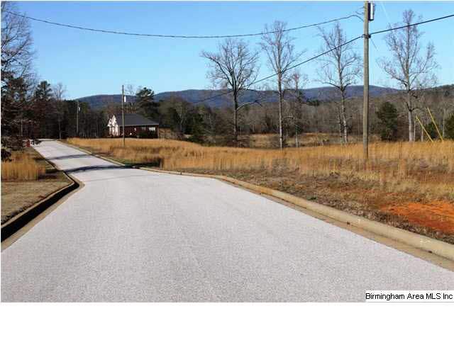 Mount Eagle Lane, Unit 2 Weaver, AL 36277 - Photo 3 of 26