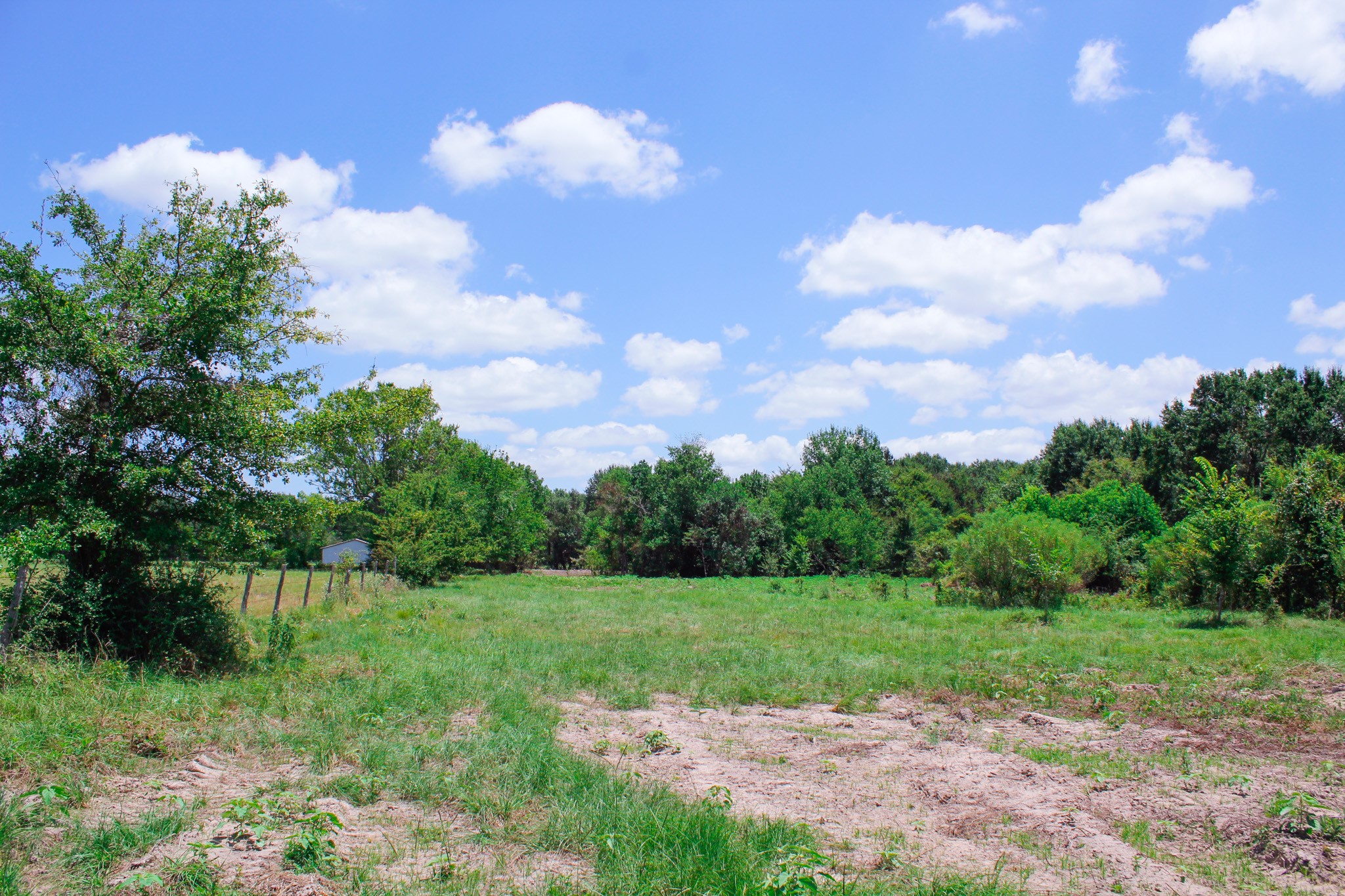 13 Greenbriar Road Madisonville, TX 77864 - Photo 12 of 16 Gallery Image 12