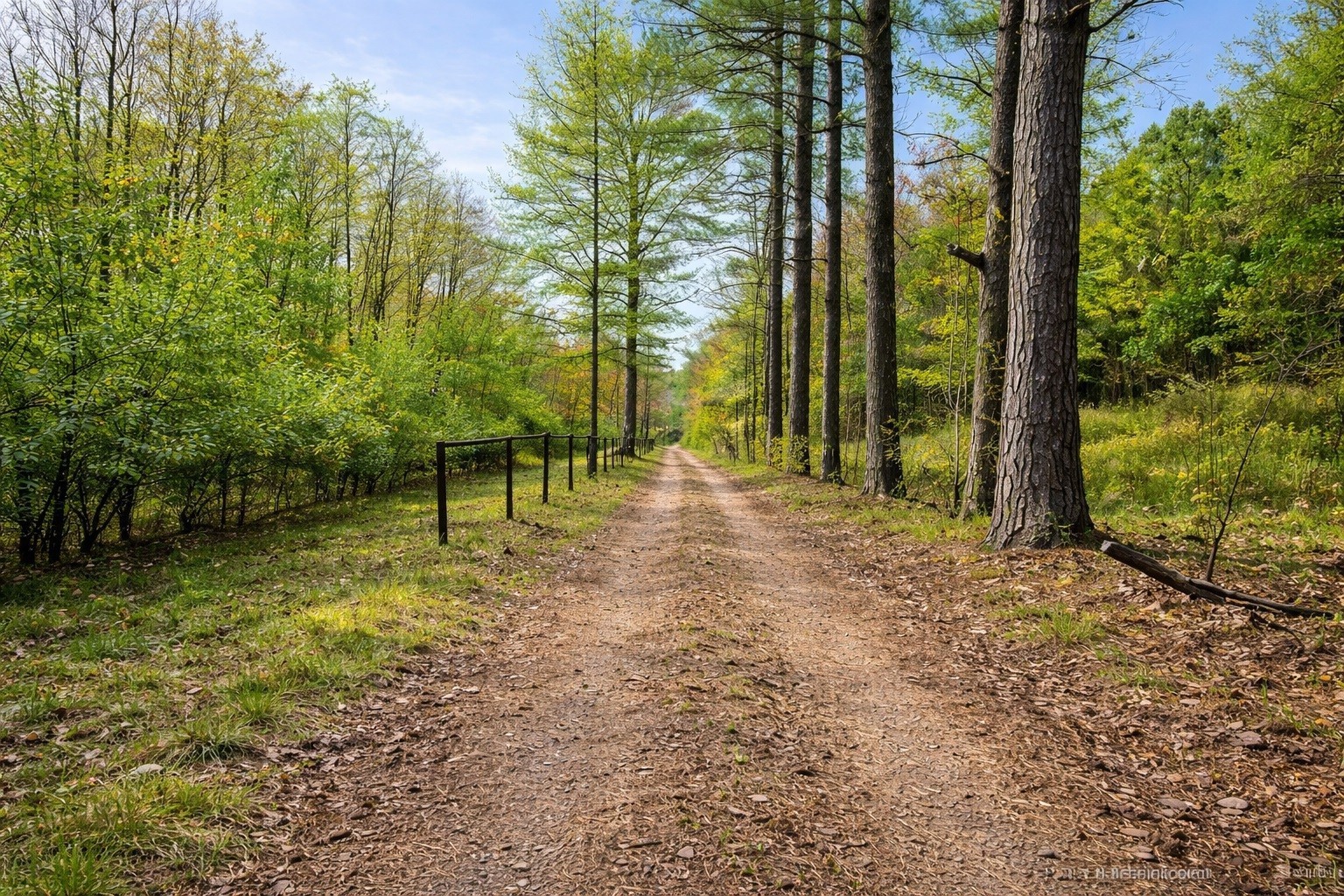 1135 West Mink Branch Road Waynesboro, TN 38485 - Photo 55 of 83
