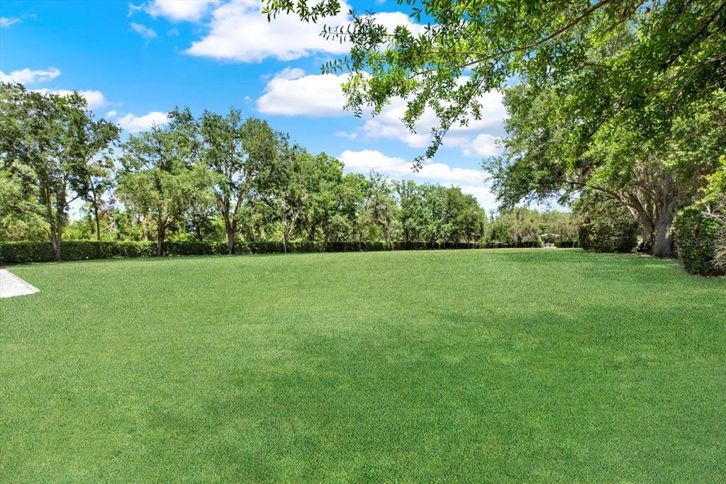 4541 School Road Land O' Lakes, FL 34638 - Photo 45 of 68 a view of a garden with a tree