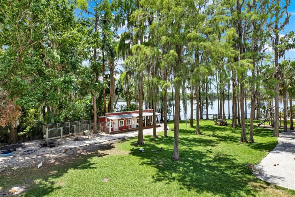 4541 School Road Land O' Lakes, FL 34638 - Photo 47 of 68 a view of a park with large trees