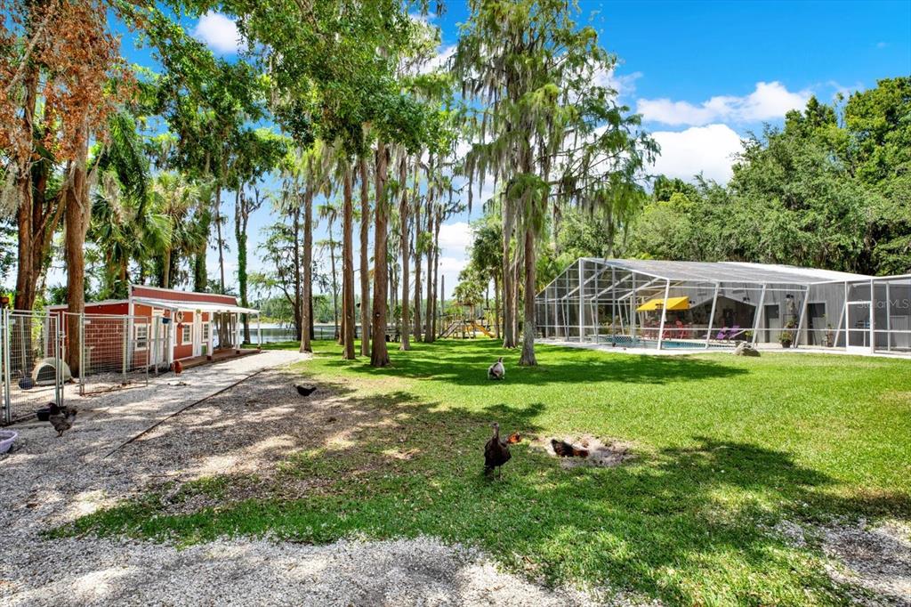 4541 School Road Land O' Lakes, FL 34638 - Photo 53 of 68 a view of a house with backyard sitting area and garden
