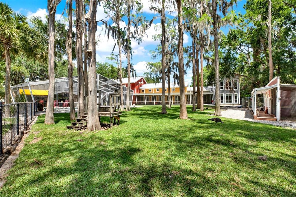 4541 School Road Land O' Lakes, FL 34638 - Photo 55 of 68 a view of house with a big yard and large trees