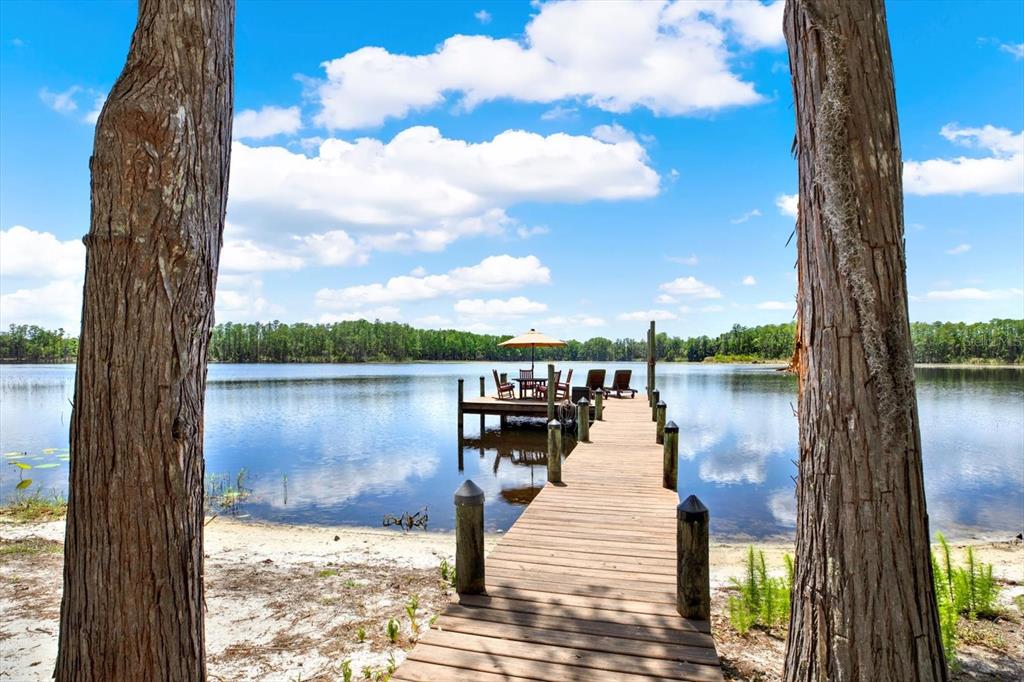 4541 School Road Land O' Lakes, FL 34638 - Photo 57 of 68