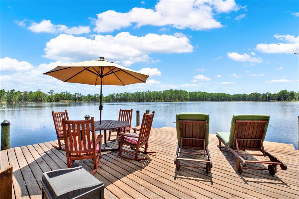 4541 School Road Land O' Lakes, FL 34638 - Photo 6 of 68