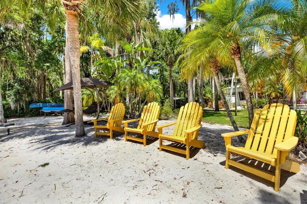 4541 School Road Land O' Lakes, FL 34638 - Photo 7 of 68