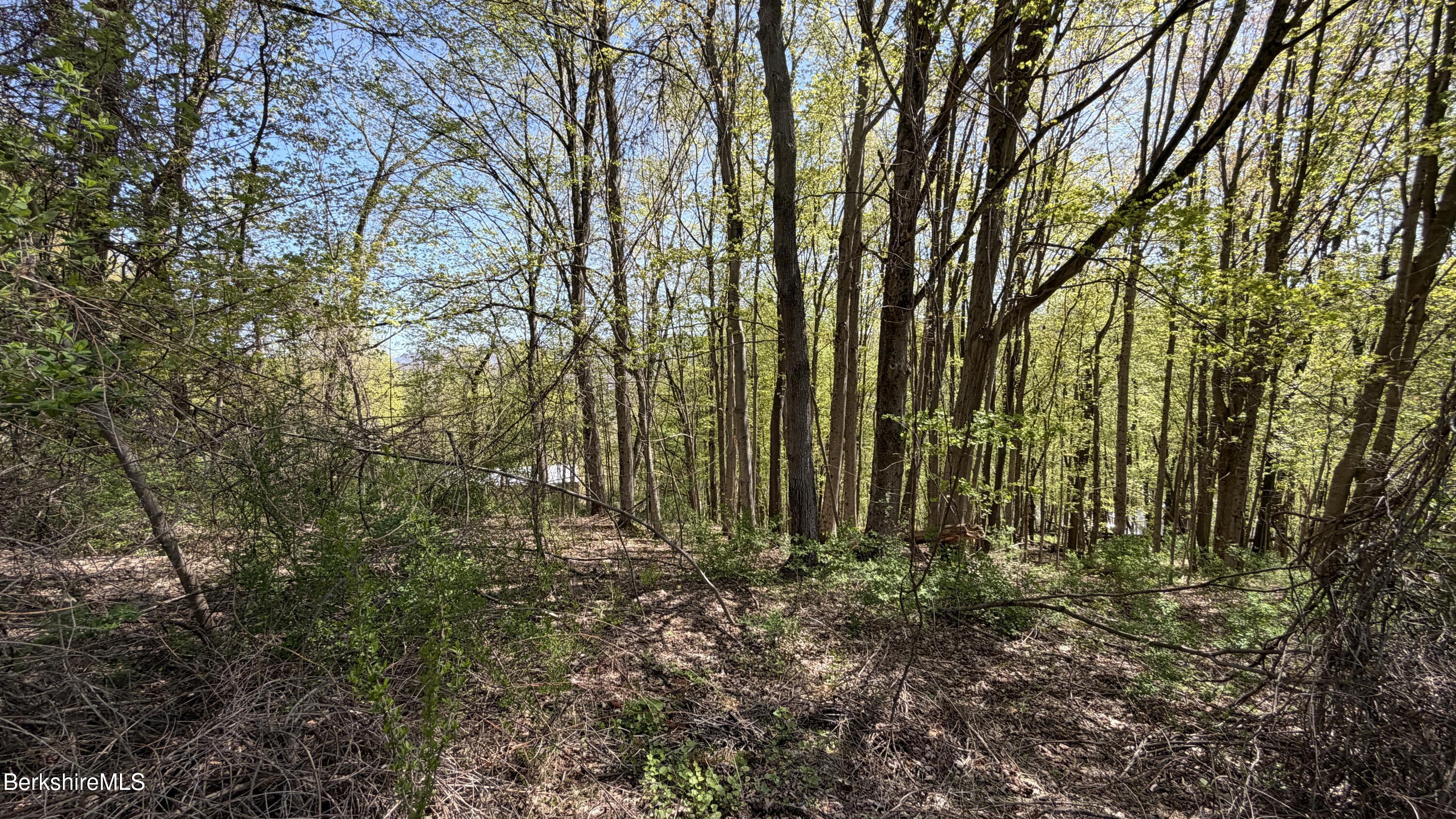 Lots 2-a&3a Reservoir Road North Adams, MA 01247 - Photo 3 of 5 graduale slope