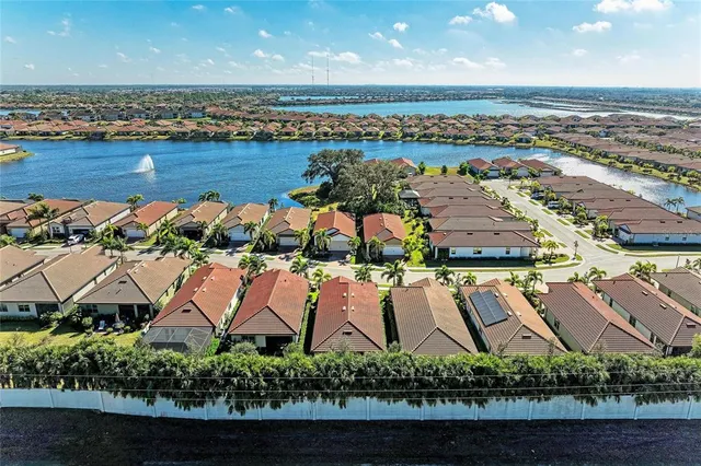a view of a park with palm trees